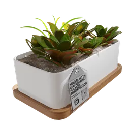 Detailed 3D model of a modern vase with succulent plants, designed for easy integration into architectural visualizations.