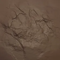 Rock Rugged Brush