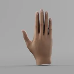 Realistic Female Right Hand Rigged
