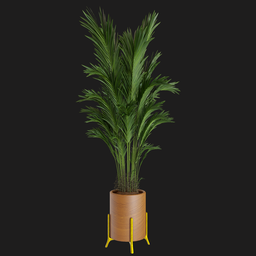 "Explore a modern indoor plant from the palm family, complete with pot and stand. This stunning 3D model was created using Blender 3D and features a tropical wood texture, perfect for any virtual metaverse room or nature-inspired project."