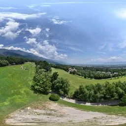Green forest grass cloud