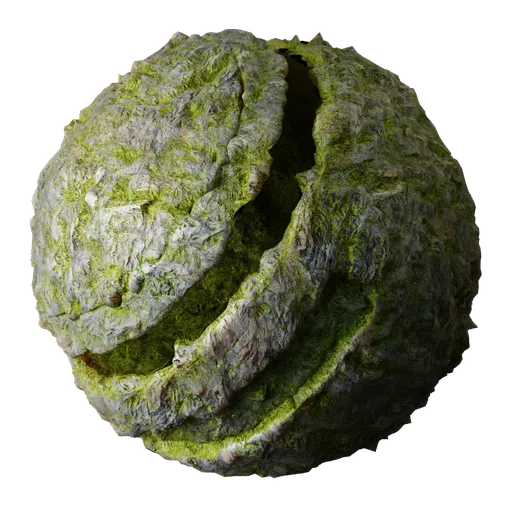 Cliff Rock Moss
