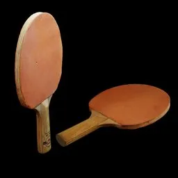 Ping Pong Paddle
