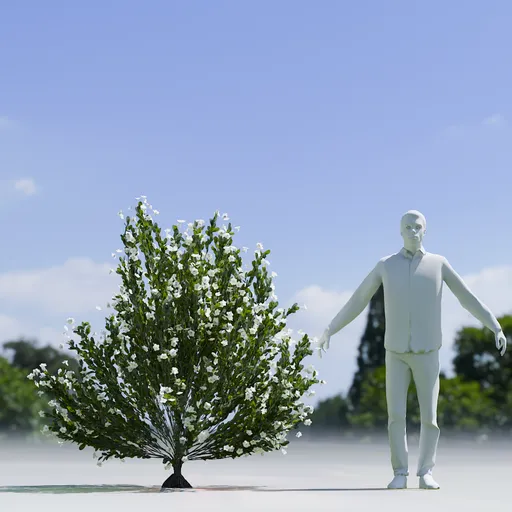 Tree Whiterock