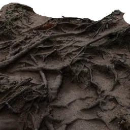 Detailed 3D scan of intertwined tree roots on forest floor, compatible with Blender for natural scene rendering.