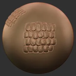 ER_Dragon Brush Spine Scales