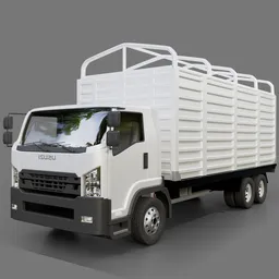 Isuzu F Series Cargo Truck
