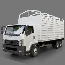 Isuzu F Series Cargo Truck