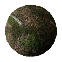 Mossy Forest Ground