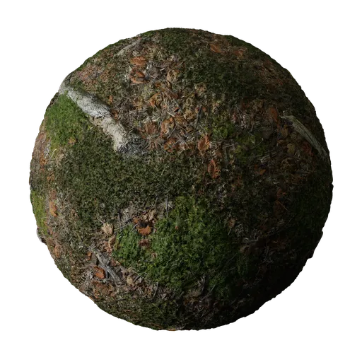 Mossy Forest Ground