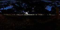 Morning Forest HDR optimised 12K