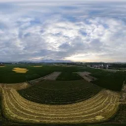 Farmland Sunset