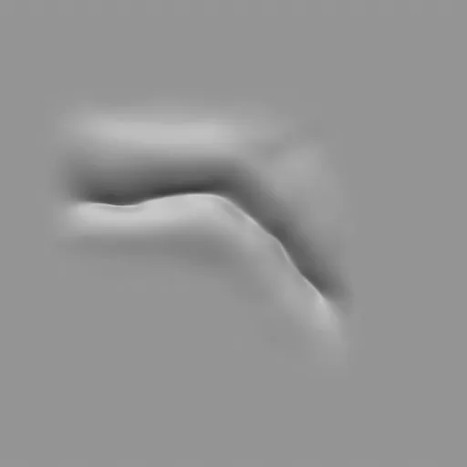 ER_Muscle brush 46