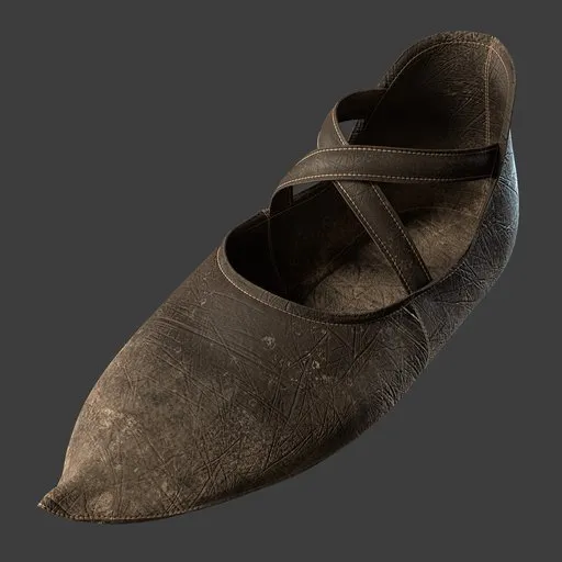 Shoe