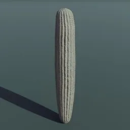 Plant Cactus Saguaro Dry Short