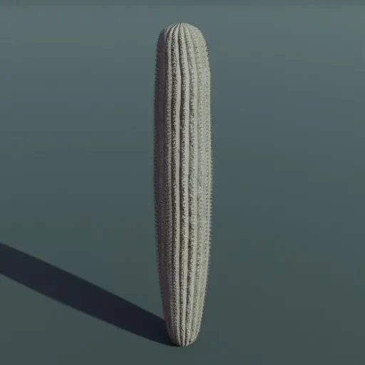 Plant Cactus Saguaro Dry Short