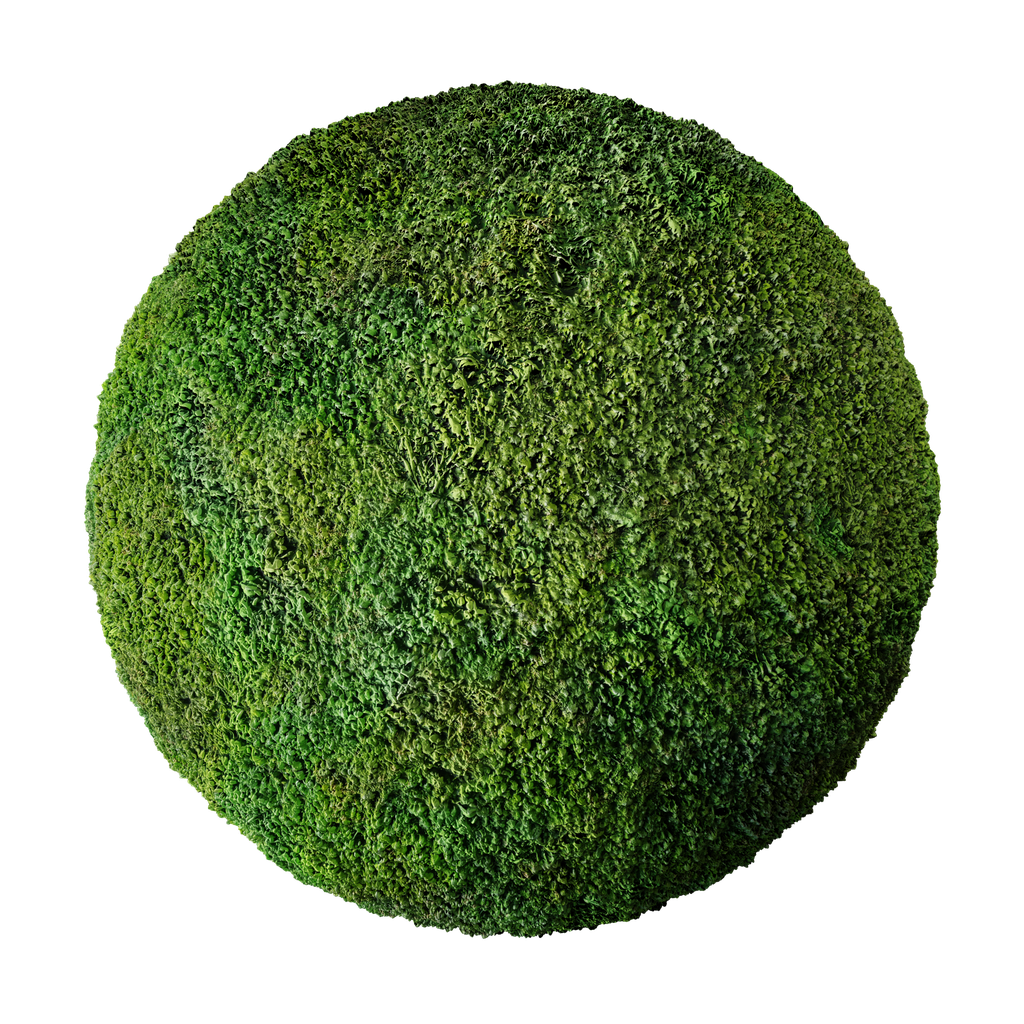 blenderkit-download-the-free-grass-clovers-2-material
