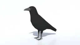 Low poly 3D crow model with separate eye object, quad meshes optimized for Blender renderings.