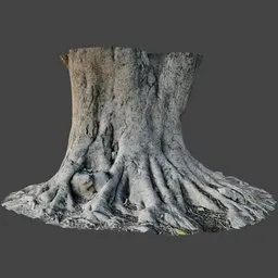 Old Tree Trunk Roots
