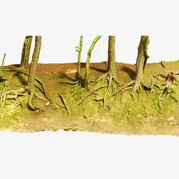 A 3D model of a forest with trees and roots, showcasing a clay render in a dilapidated state. The view is from the bottom, exposing a dredged seabed with moss and plants surrounding the wood branches. Inspired by Matthias Weischer, this 16:9 aspect ratio model is perfect for a forest scene in Blender 3D.