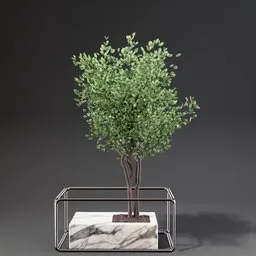 Highly detailed weeping fig 3D model with stone planter for Blender rendering, ideal for interior visualization.