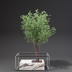"Nature-inspired 3D model of a weeping fig flowerbox set with a Benjamin shrub, stone box, and steel frame. Perfect for indoor corner designs. Created with Blender 3D software."