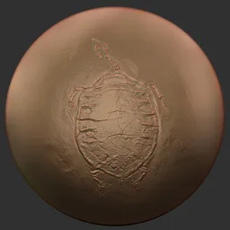 ER_Fossil Brush-Turtle