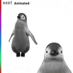 Baby Penguin (Animated)
