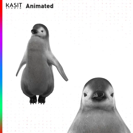 Baby Penguin (Animated)