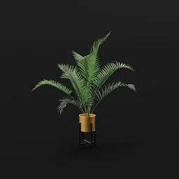 Small Palm Med Potted