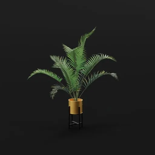 Small Palm Med Potted