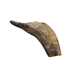 Tree debris