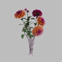 Dahlia Palmares
