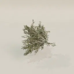 Highly detailed Creosote Bush 3D model, perfect for Blender rendering and landscape visualization.