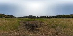 Wide green meadow during daytime