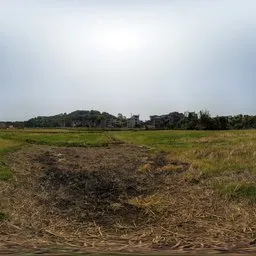 Wide green meadow during daytime