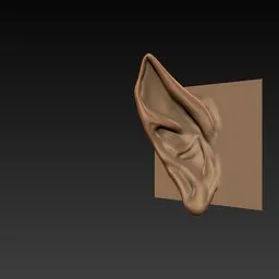 3D sculpting brush for Blender, detailing creature ears, head category, precise surface manipulation.