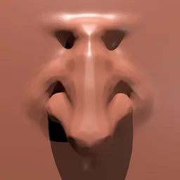 Sculptural Prominent Nose