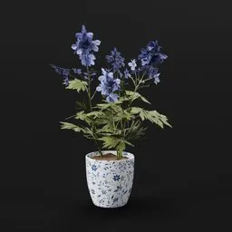 Plant Larkspur Sml Pot