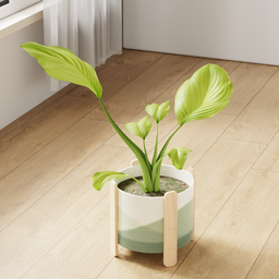 Indoor plant with green ceramic vase