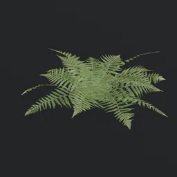 Detailed 3D fern model with realistic textures for Blender animation and game development.