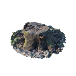 "3D model of moss-covered tree stump scanned and rendered with Blender 3D software. Inspired by Scott Listfield art and captured with tilt shift and anamorphic wide angle lens, this model is perfect for nature scenes in 3D projects."