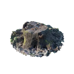 "3D model of moss-covered tree stump scanned and rendered with Blender 3D software. Inspired by Scott Listfield art and captured with tilt shift and anamorphic wide angle lens, this model is perfect for nature scenes in 3D projects."