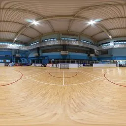 Hockey Rink