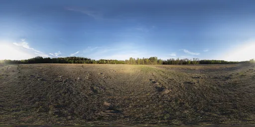 Dry Meadow, golden hour, unclipped sun