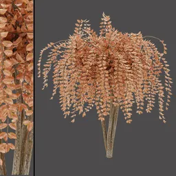 Pink Fantasy Plant