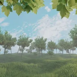 Stylized Nature Landscape