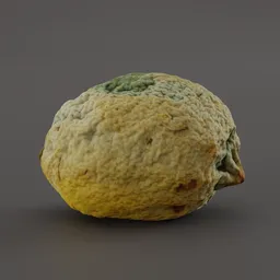 "High-quality 3D model of a Rotten Lemon with 8k textures, perfect for game assets, scenario assets, and inventory items in Blender 3D. Inspired by Jean-Léon Gérôme and Anomalisa, this photorealistic fruitvegetable model features mold, moss, and a gray surface. Includes male emaciated and Persian cat textures and was created using photoscan technology."