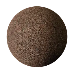 Pine Needle Forest Ground