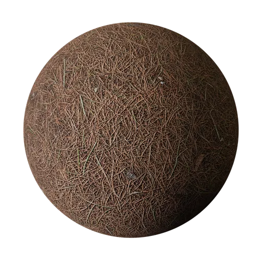 Pine Needle Forest Ground